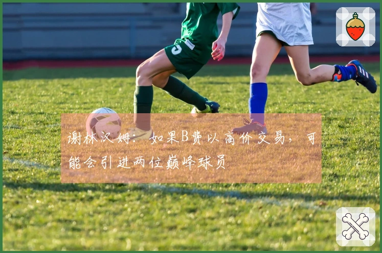 谢林汉姆：如果B费以高价交易，可能会引进两位巅峰球员