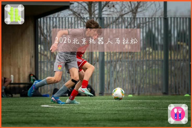 2026北京机器人马拉松