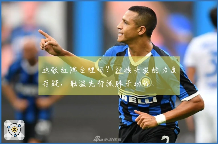 这张红牌合理吗？拉拽头发的力度存疑，勒温先行抓脖子动作。