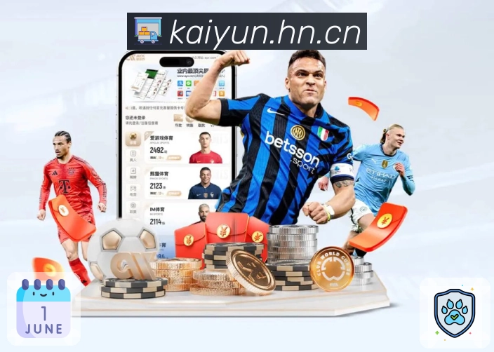 开云APP 高清赛事图